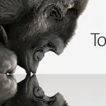 Alla scoperta di Gorilla Glass, il vetro che fa lo smartphone indistruttibile