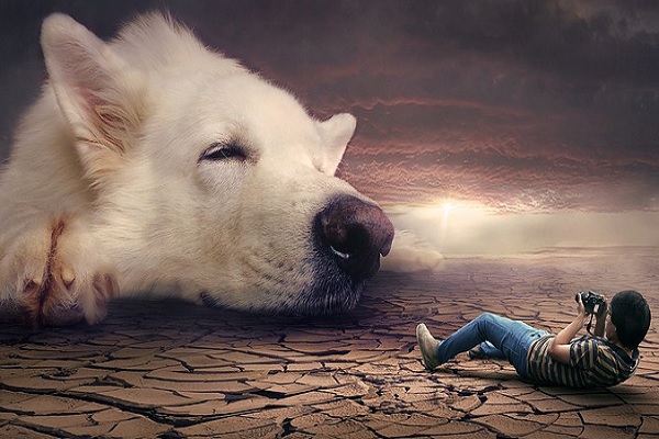 App Store fotomontaggi per il tempo libero, da PhotoDirector a Photo Lab