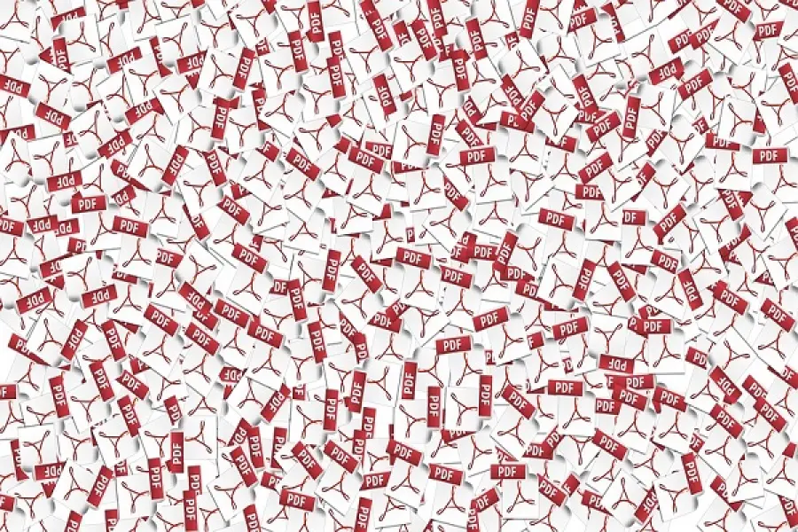 Documenti in pdf, boom download per il Contratto di Governo M5S-Lega