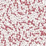 Documenti in pdf, boom download per il Contratto di Governo M5S-Lega